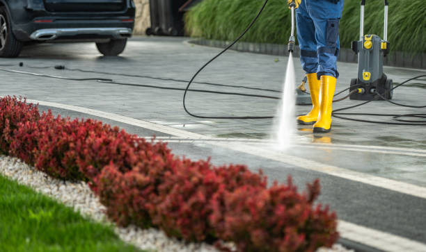 Best Driveway Pressure Washing  in Laurel Park, NC